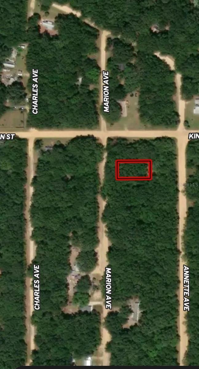 LOT 2 MARION AVE, INTERLACHEN, FL — photo 2
