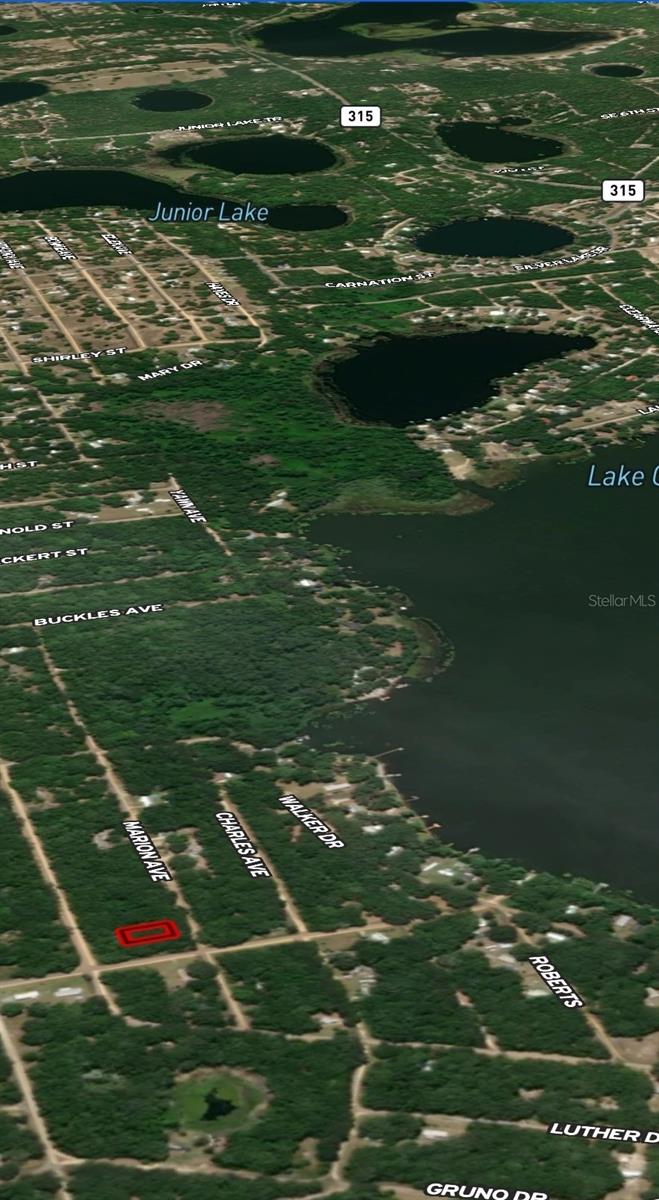 LOT 2 MARION AVE, INTERLACHEN, FL — photo 4