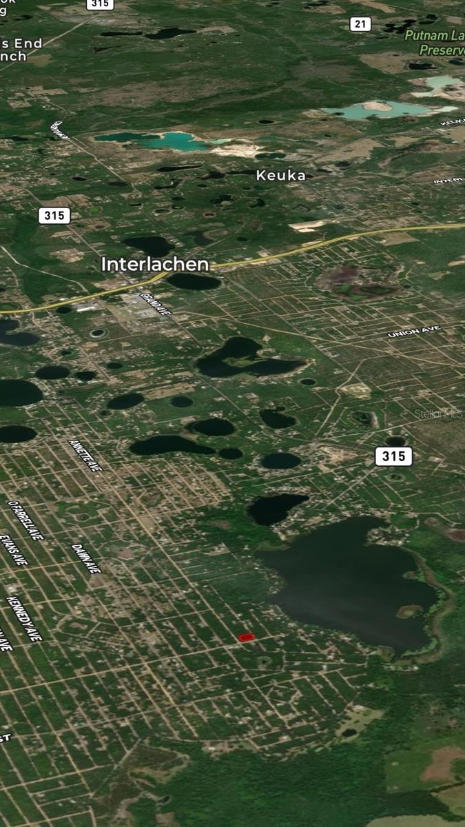 LOT 2 MARION AVE, INTERLACHEN, FL — photo 6