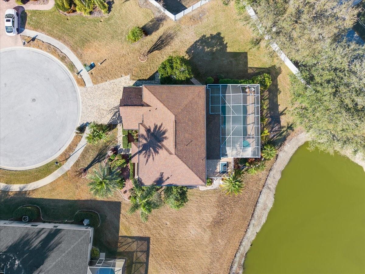 14120 MANDA CT, ODESSA, FL — photo 41