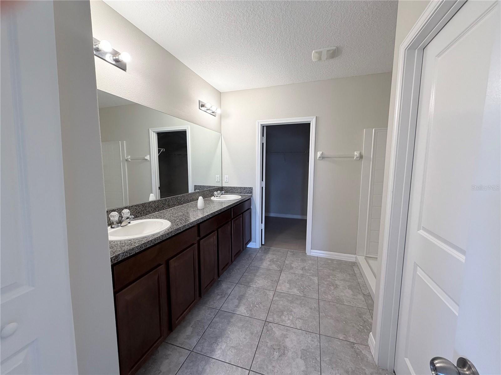 10013 CRESTED FRINGE DR, RIVERVIEW, FL — photo 12