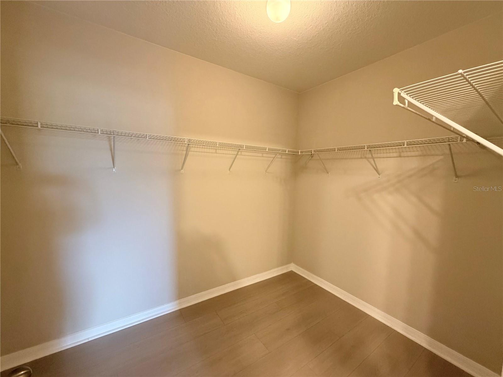 10013 CRESTED FRINGE DR, RIVERVIEW, FL — photo 13