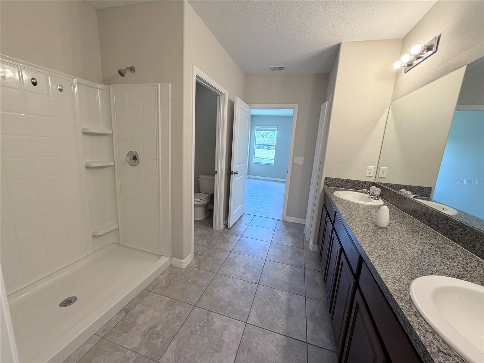10013 CRESTED FRINGE DR, RIVERVIEW, FL — photo 15