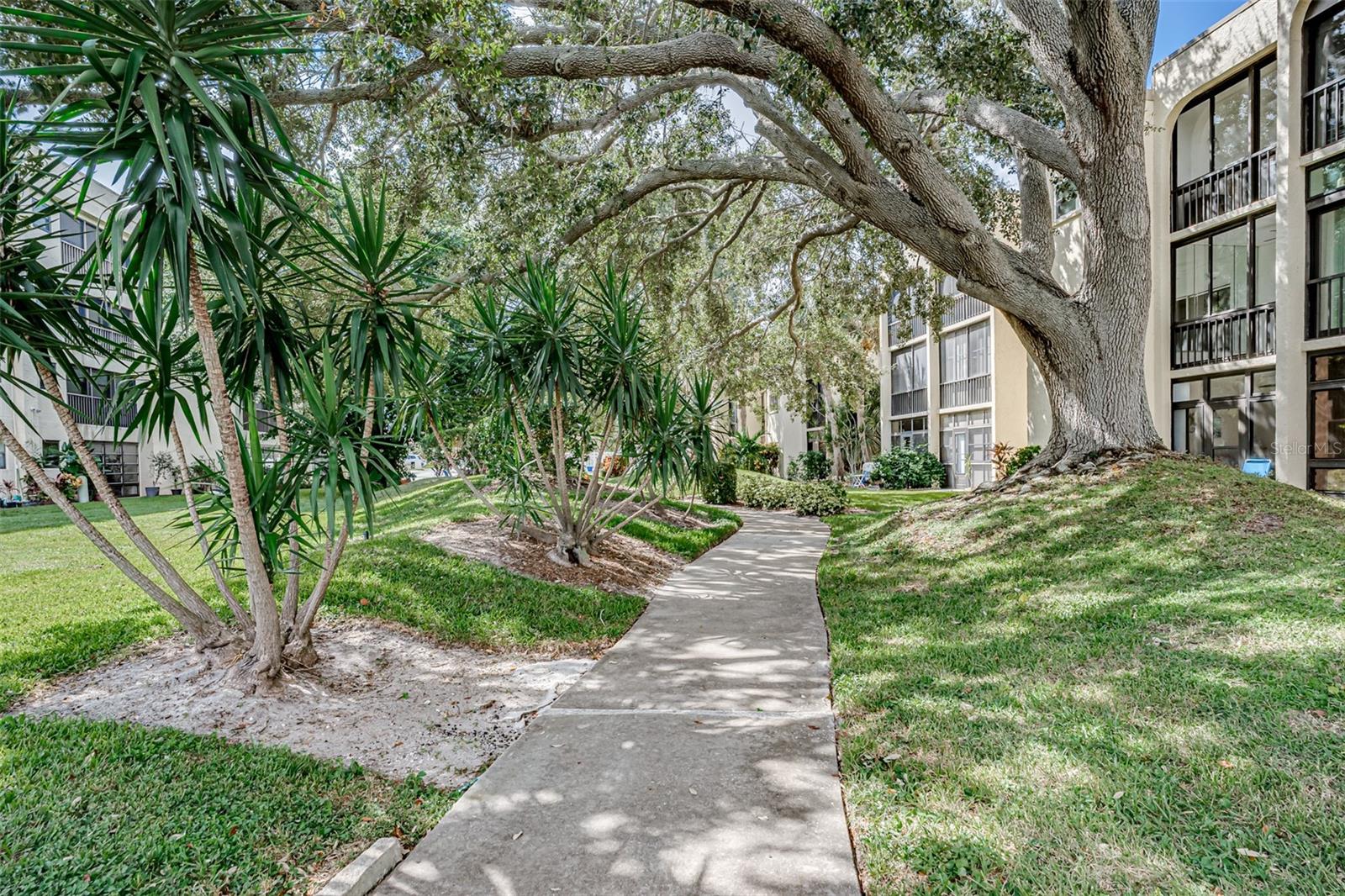 11485 OAKHURST RD #200-306, LARGO, FL — photo 26