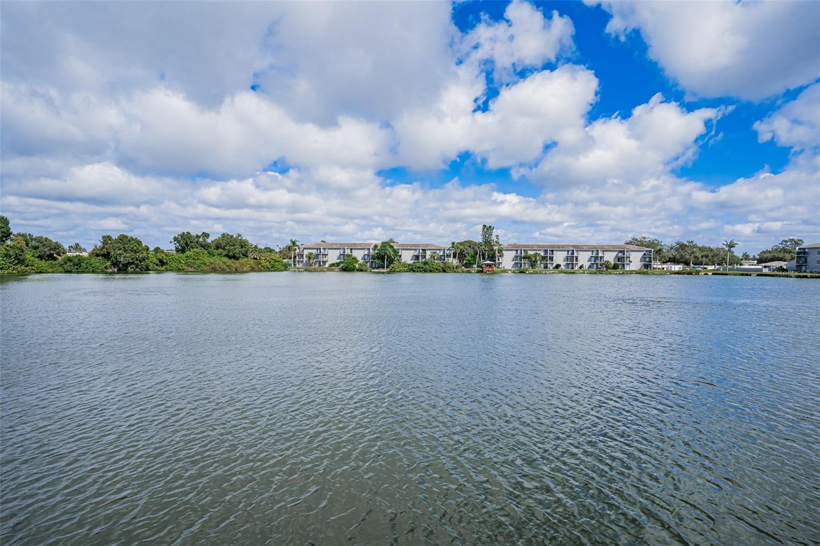 11485 OAKHURST RD #200-306, LARGO, FL — photo 50