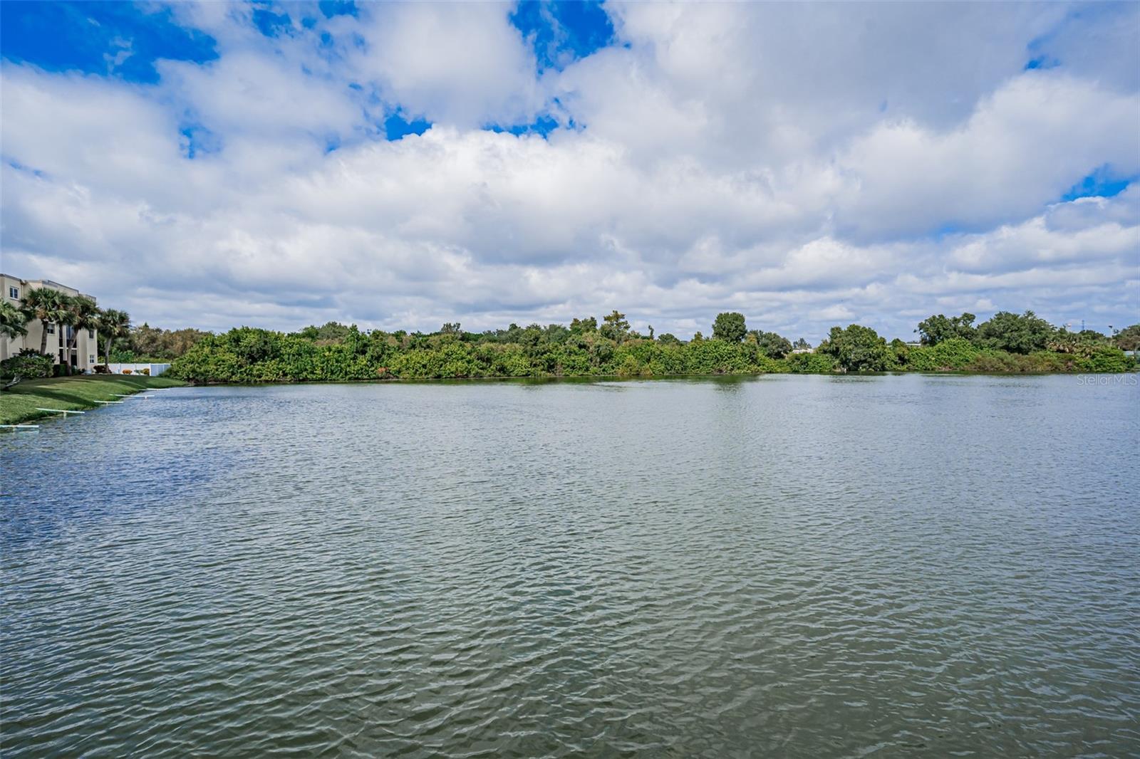 11485 OAKHURST RD #200-306, LARGO, FL — photo 51
