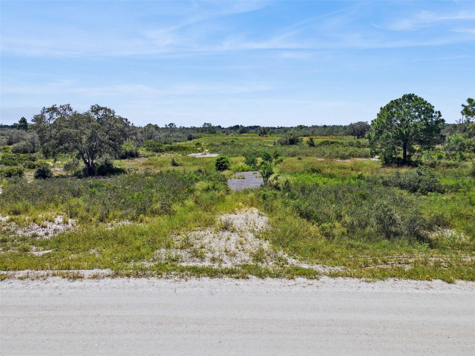 2253 W SHULA RD, AVON PARK, FL — photo 3
