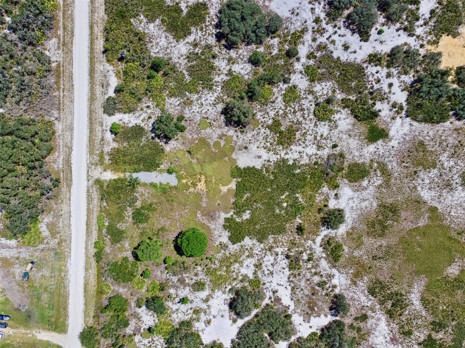 2253 W SHULA RD, AVON PARK, FL — photo 8