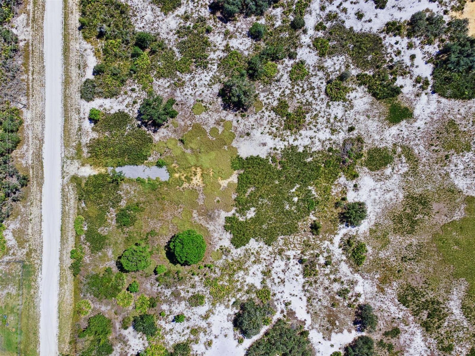 2253 W SHULA RD, AVON PARK, FL — photo 16