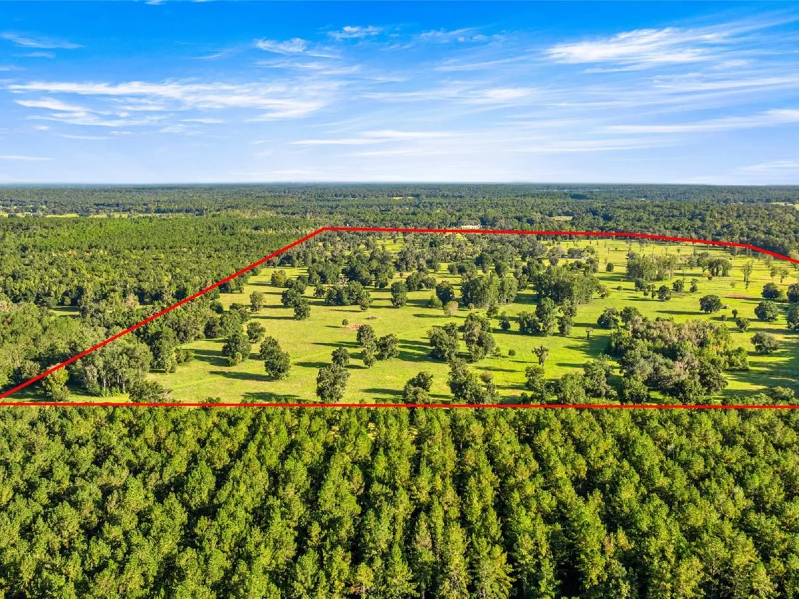 17748 N HWY 329, REDDICK, FL — photo 1