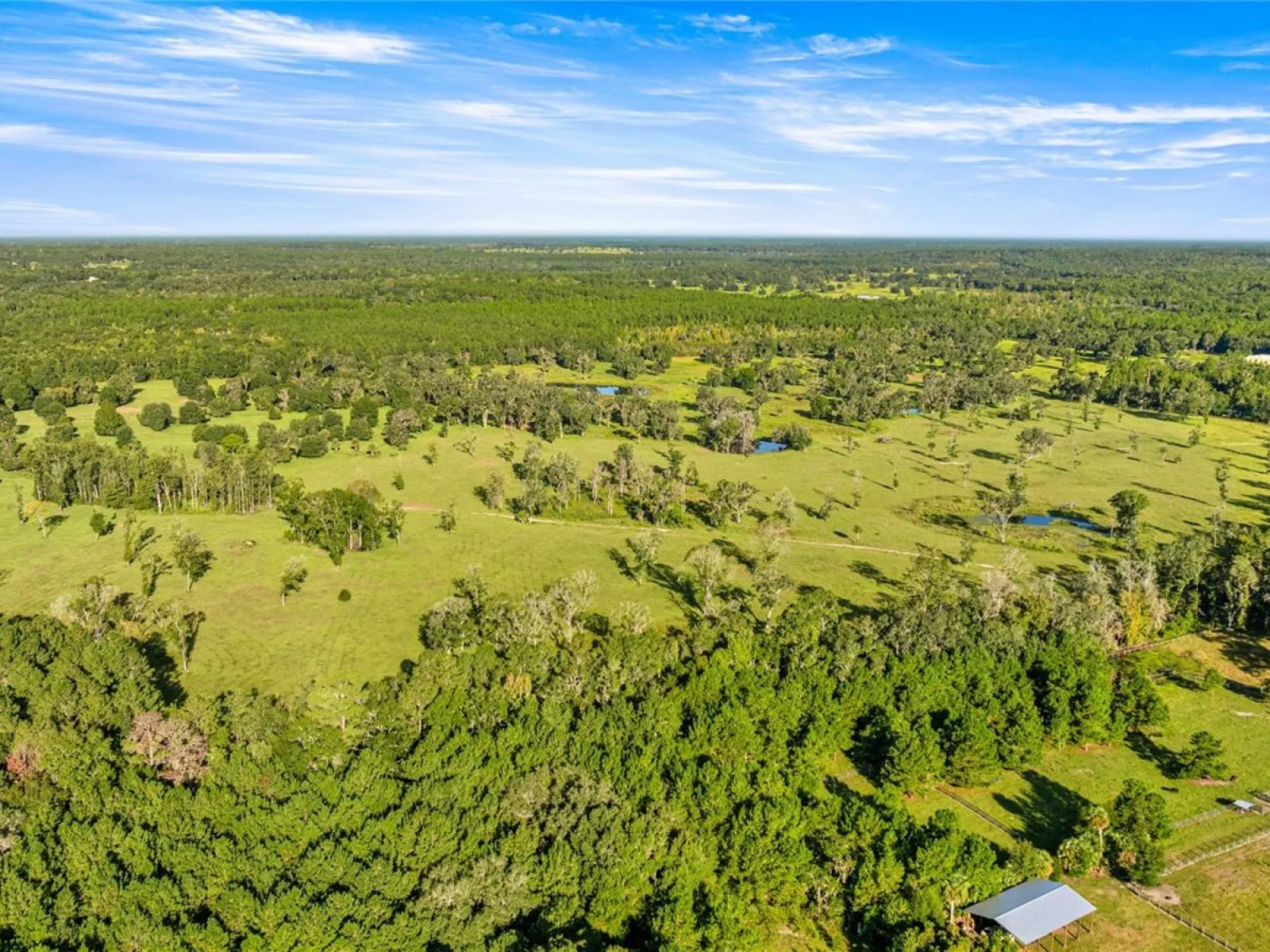 17748 N HWY 329, REDDICK, FL — photo 2