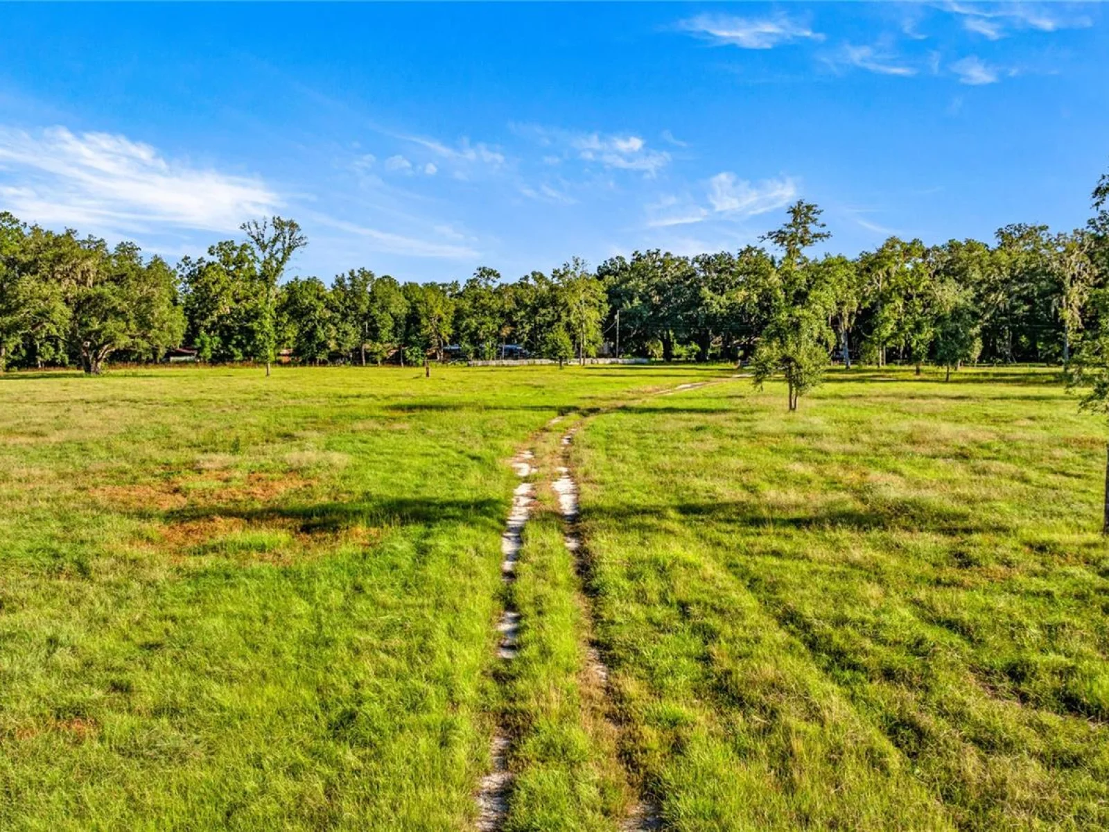 17748 N HWY 329, REDDICK, FL — photo 13