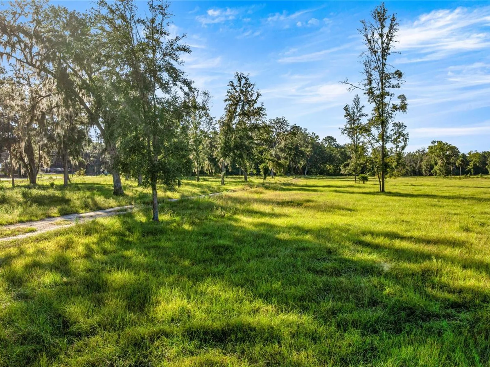17748 N HWY 329, REDDICK, FL — photo 15