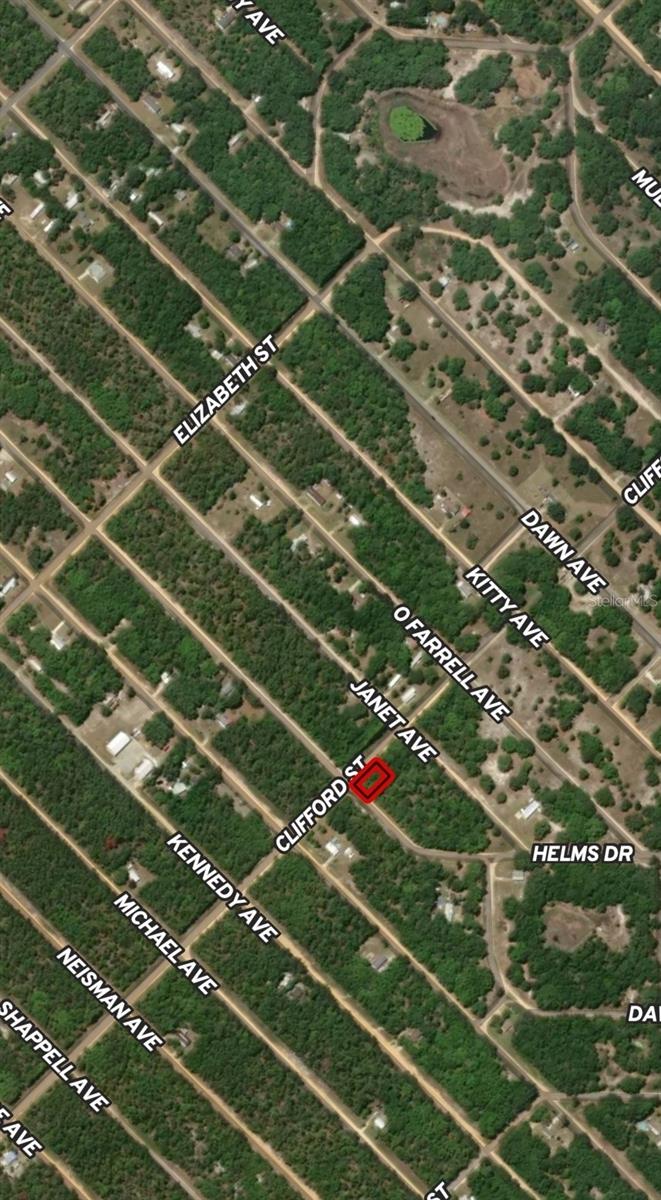 LOT 17 EVANS AVE, INTERLACHEN, FL — photo 4