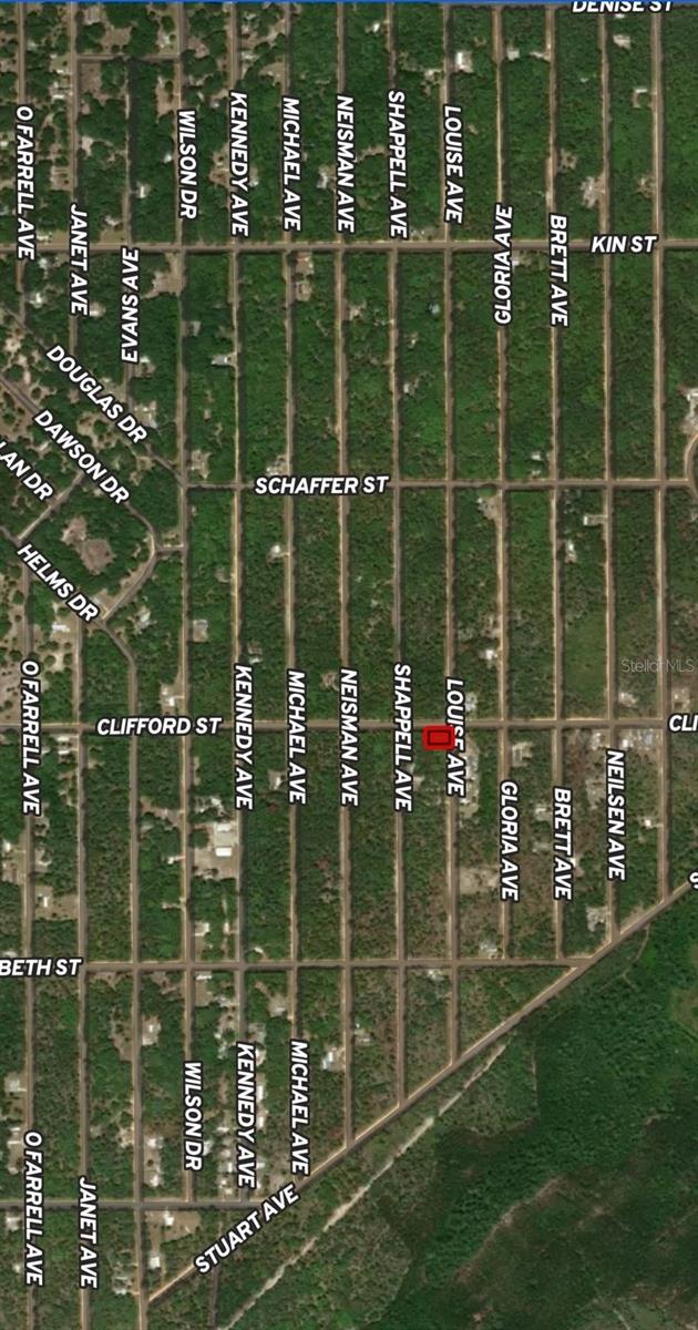 LOT 36 LOUISE AVE, INTERLACHEN, FL