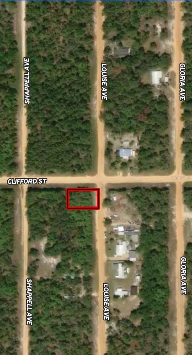 LOT 36 LOUISE AVE, INTERLACHEN, FL — photo 2