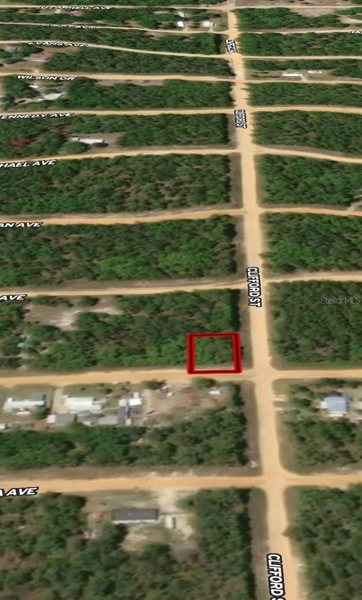 LOT 36 LOUISE AVE, INTERLACHEN, FL — photo 3