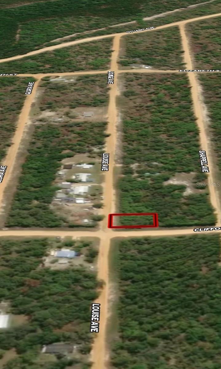 LOT 36 LOUISE AVE, INTERLACHEN, FL — photo 4