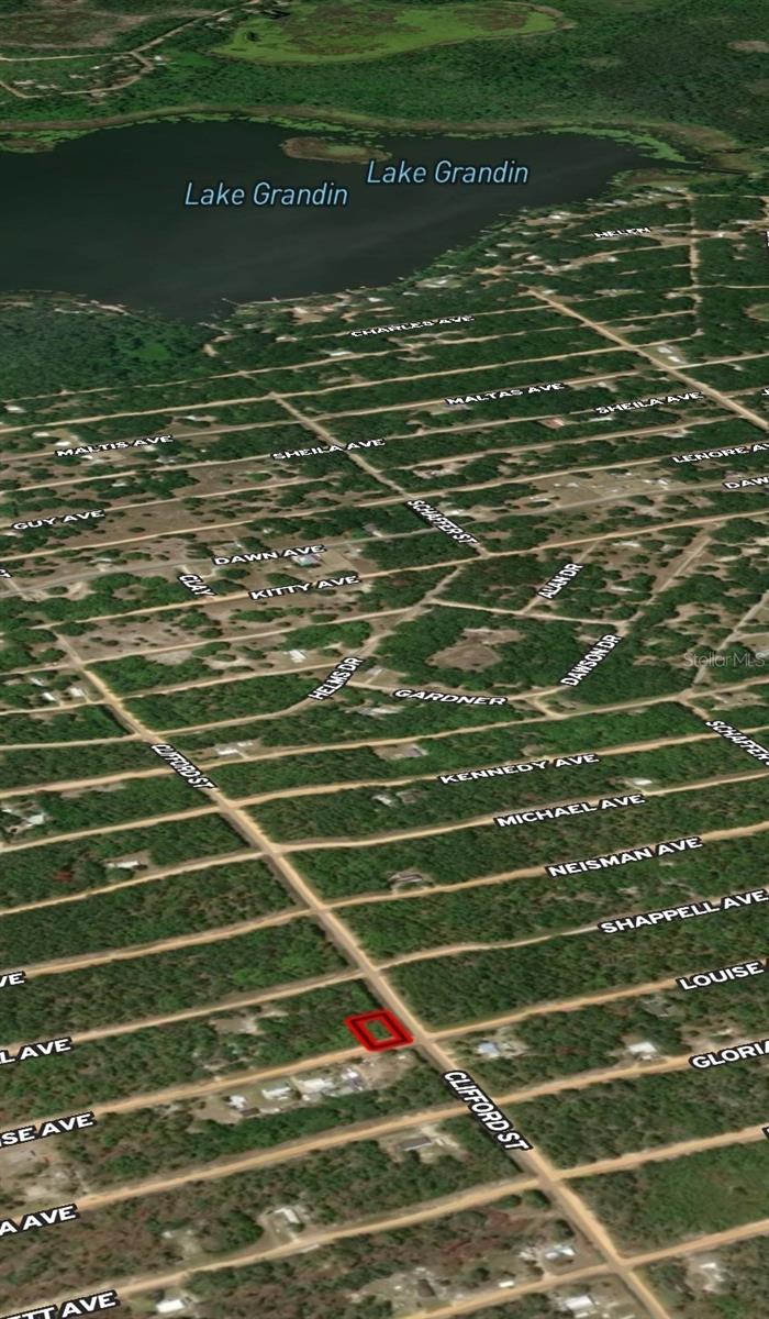 LOT 36 LOUISE AVE, INTERLACHEN, FL — photo 5