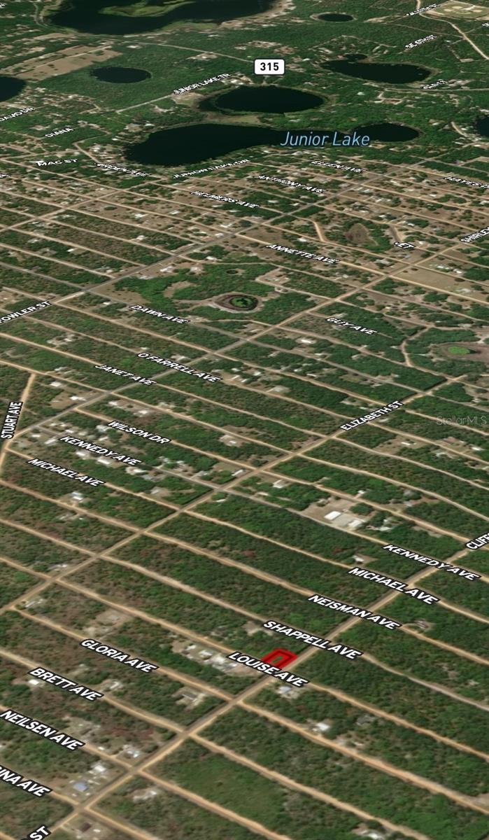 LOT 36 LOUISE AVE, INTERLACHEN, FL — photo 6