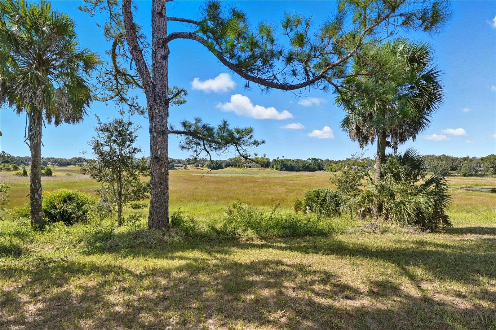 577 WATERFALL DR, SPRING HILL, FL — photo 40