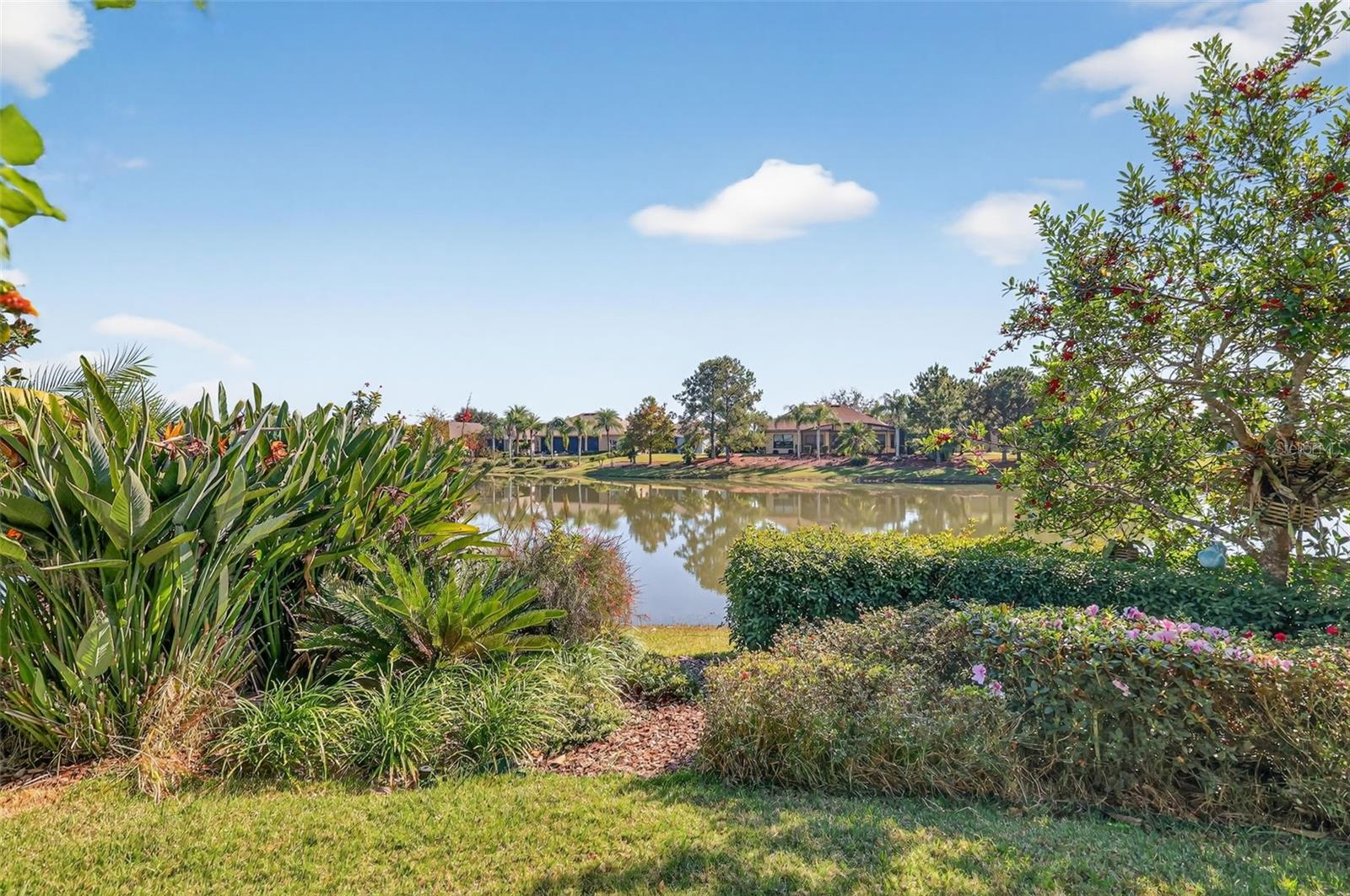 8852 BRIDGEPORT BAY CIR, MOUNT DORA, FL — photo 81