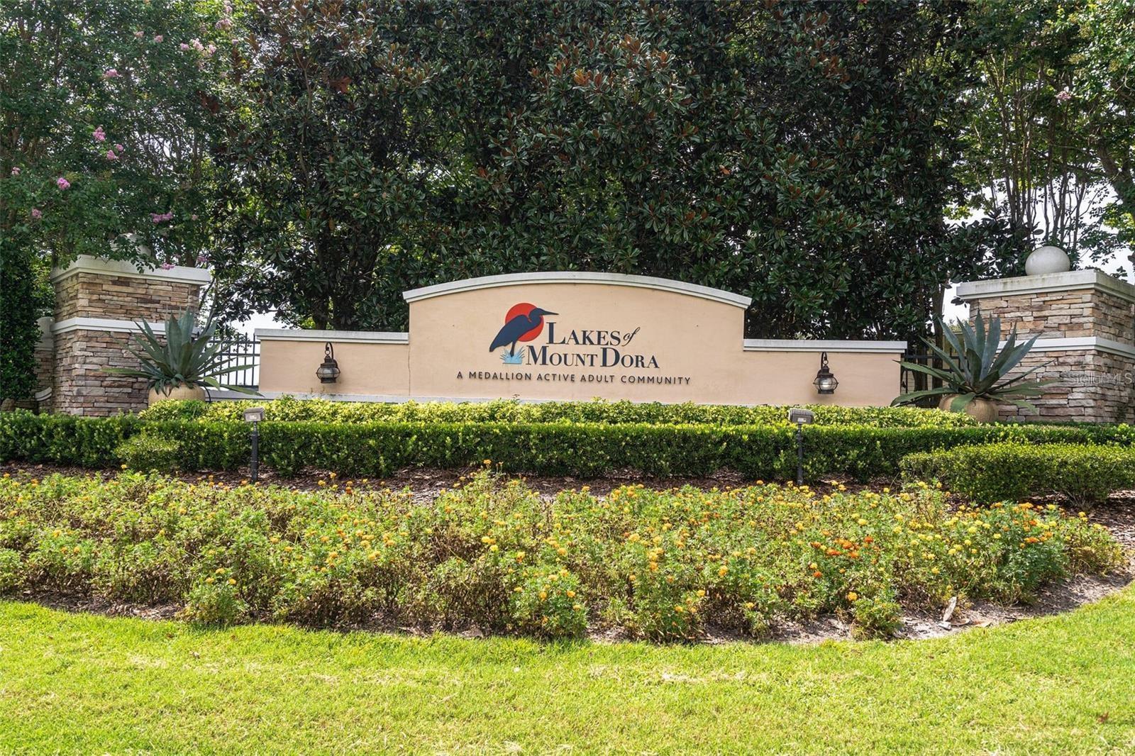 8852 BRIDGEPORT BAY CIR, MOUNT DORA, FL — photo 98