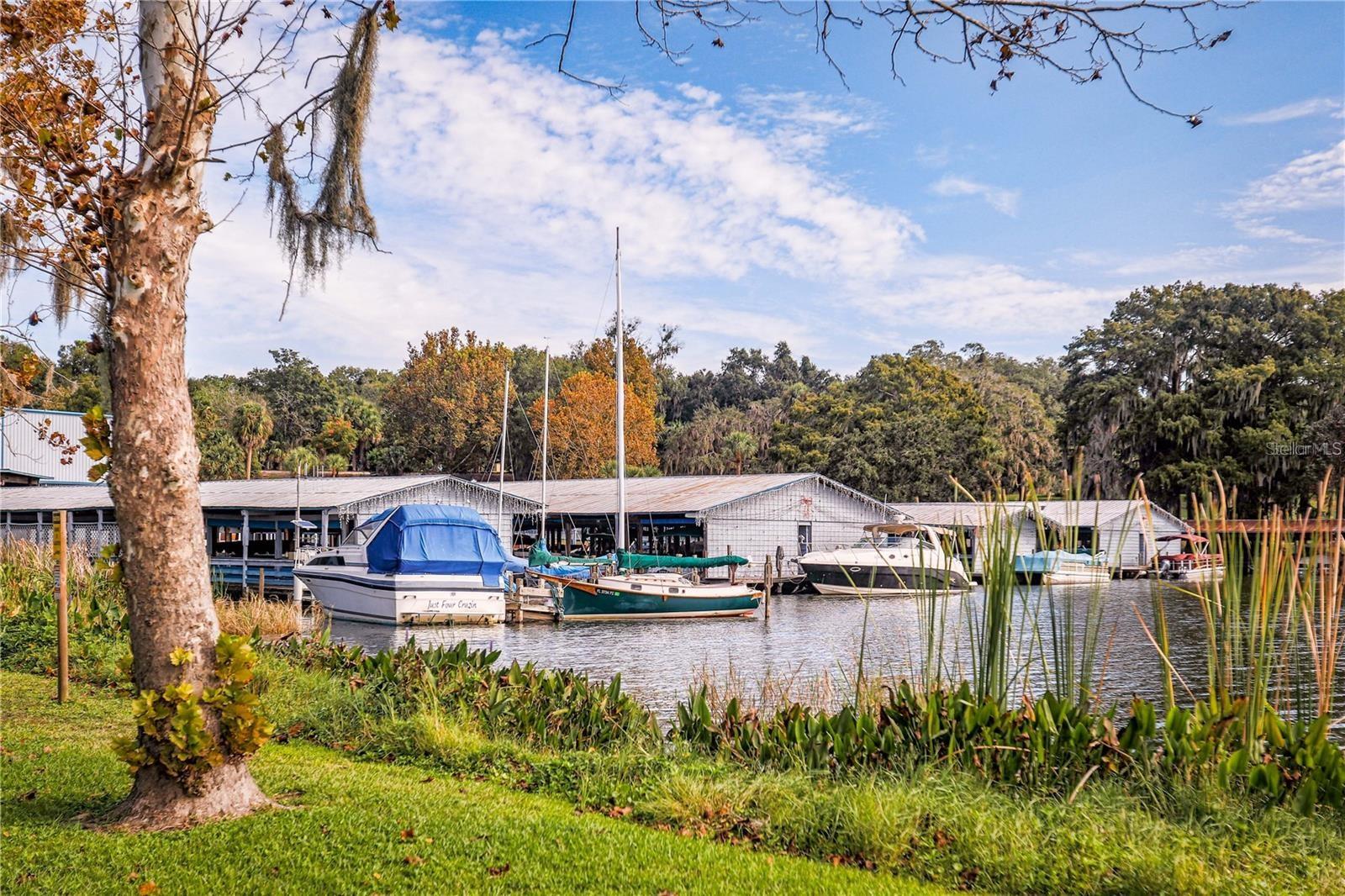 8852 BRIDGEPORT BAY CIR, MOUNT DORA, FL — photo 150
