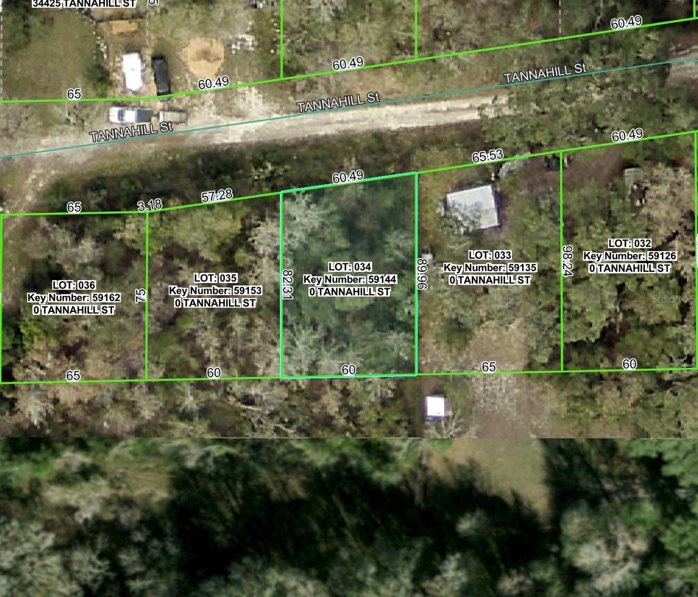 TANNAHILL ST, DADE CITY, FL