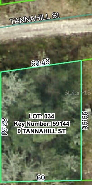 TANNAHILL ST, DADE CITY, FL — photo 2