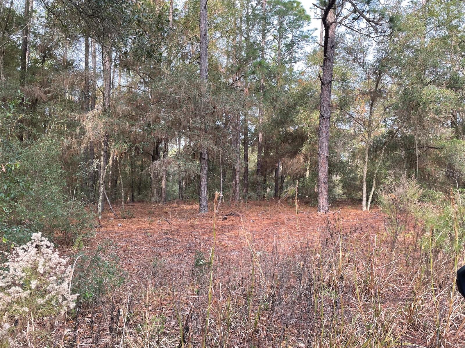 LOT 9 SW 152ND AVE, OCALA, FL