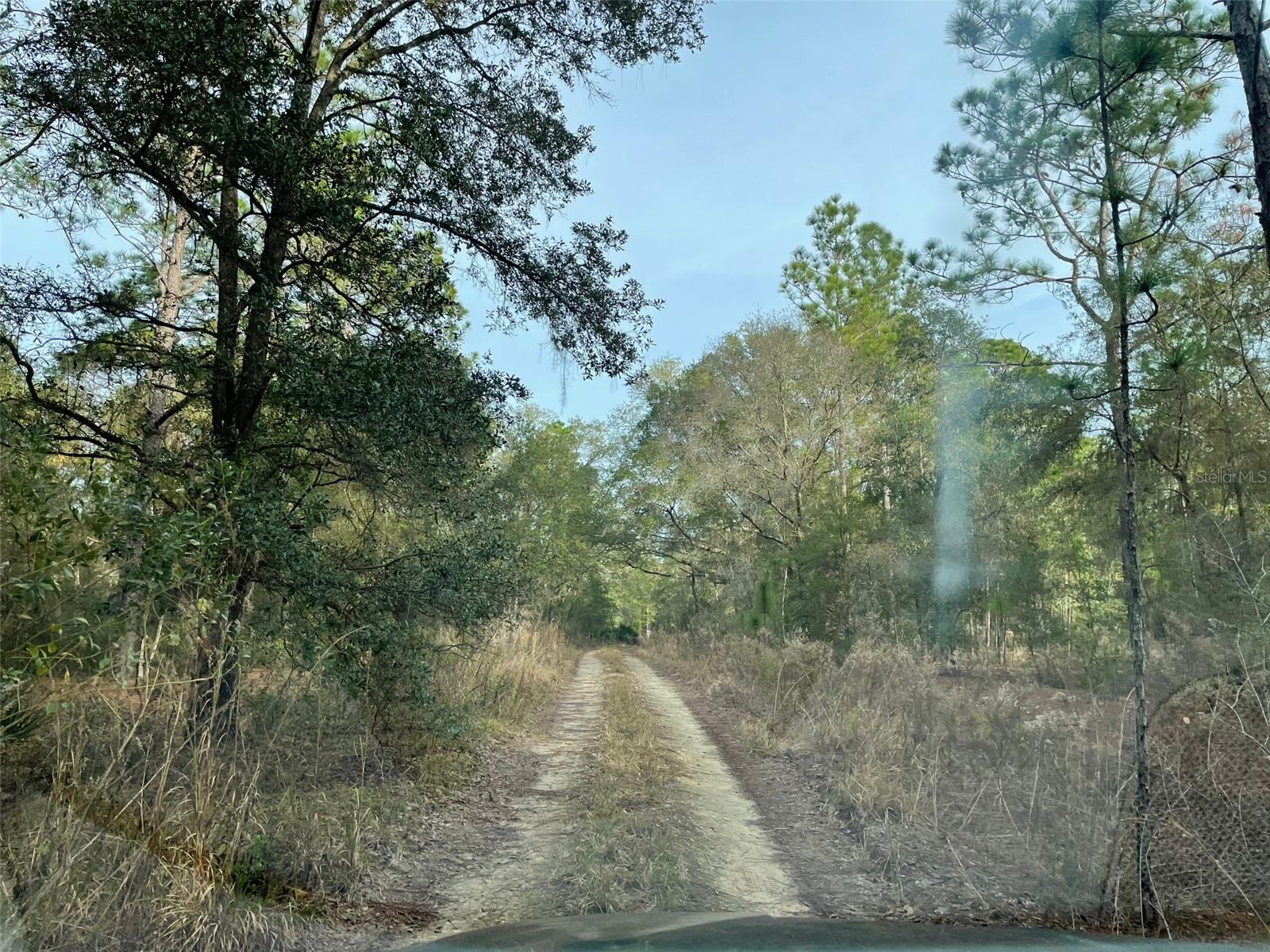 LOT 9 SW 152ND AVE, OCALA, FL — photo 3
