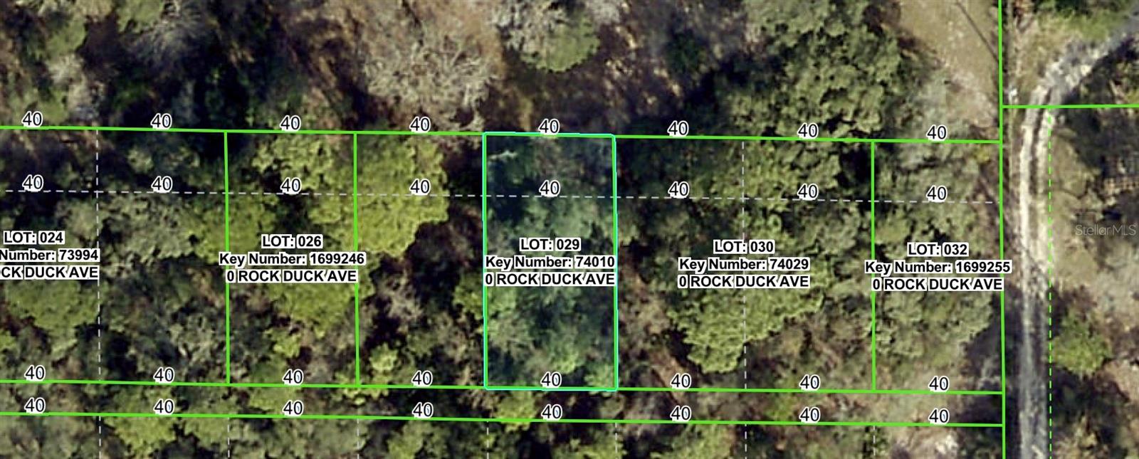 ROCK DUCK AVE, BROOKSVILLE, FL — photo 2