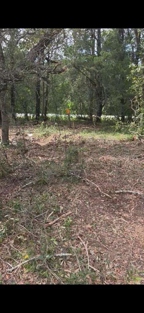 SE 112 PL, OCKLAWAHA, FL — photo 3