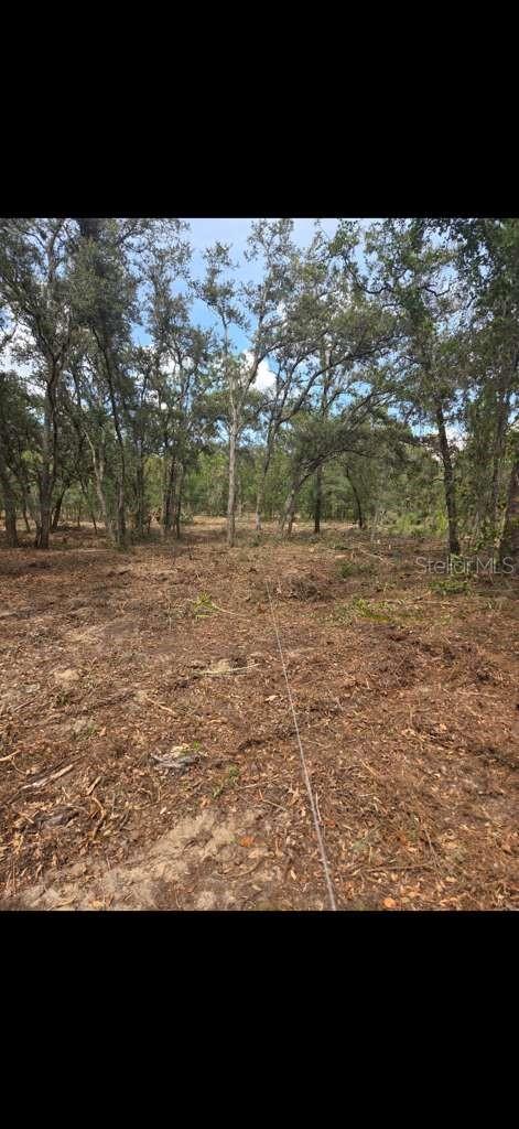 SE 112 PL, OCKLAWAHA, FL — photo 5