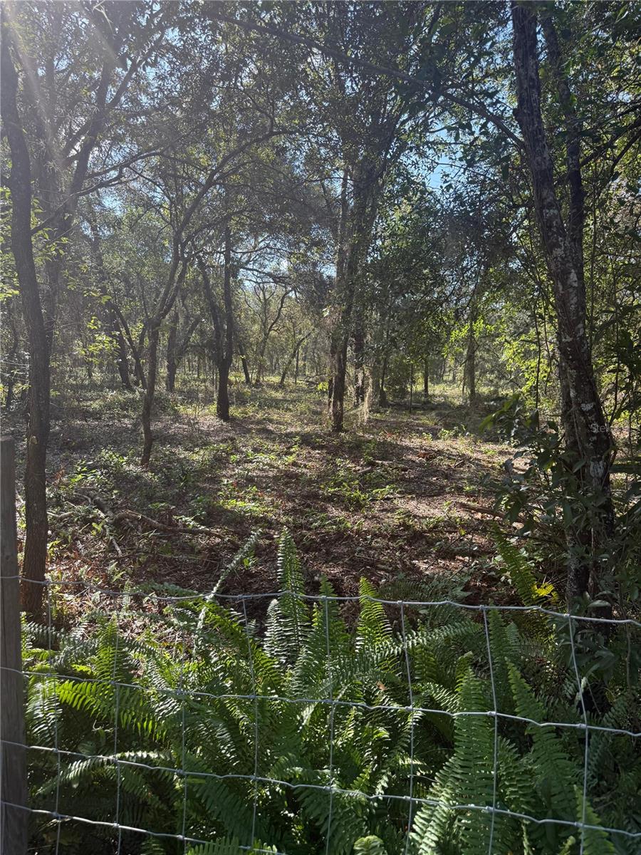 SE 112 PL, OCKLAWAHA, FL — photo 7