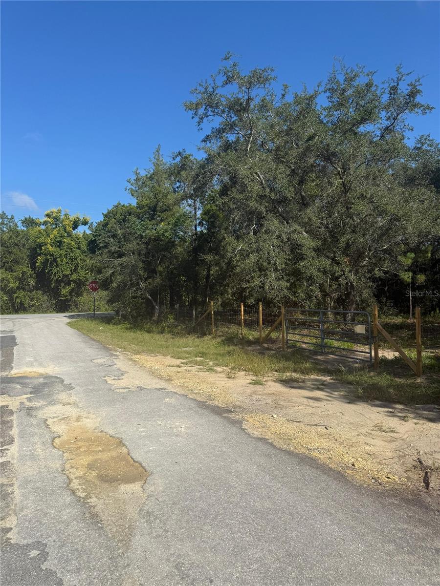 SE 112 PL, OCKLAWAHA, FL — photo 11
