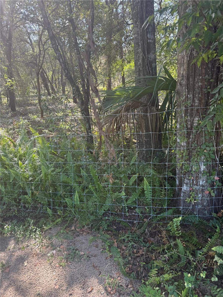 SE 112 PL, OCKLAWAHA, FL — photo 17