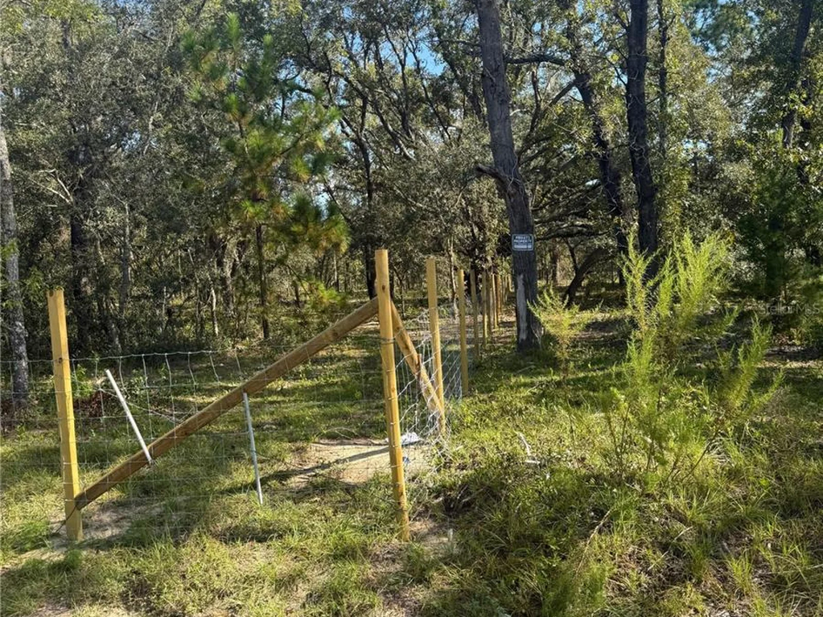 SE 112 PL, OCKLAWAHA, FL — photo 23