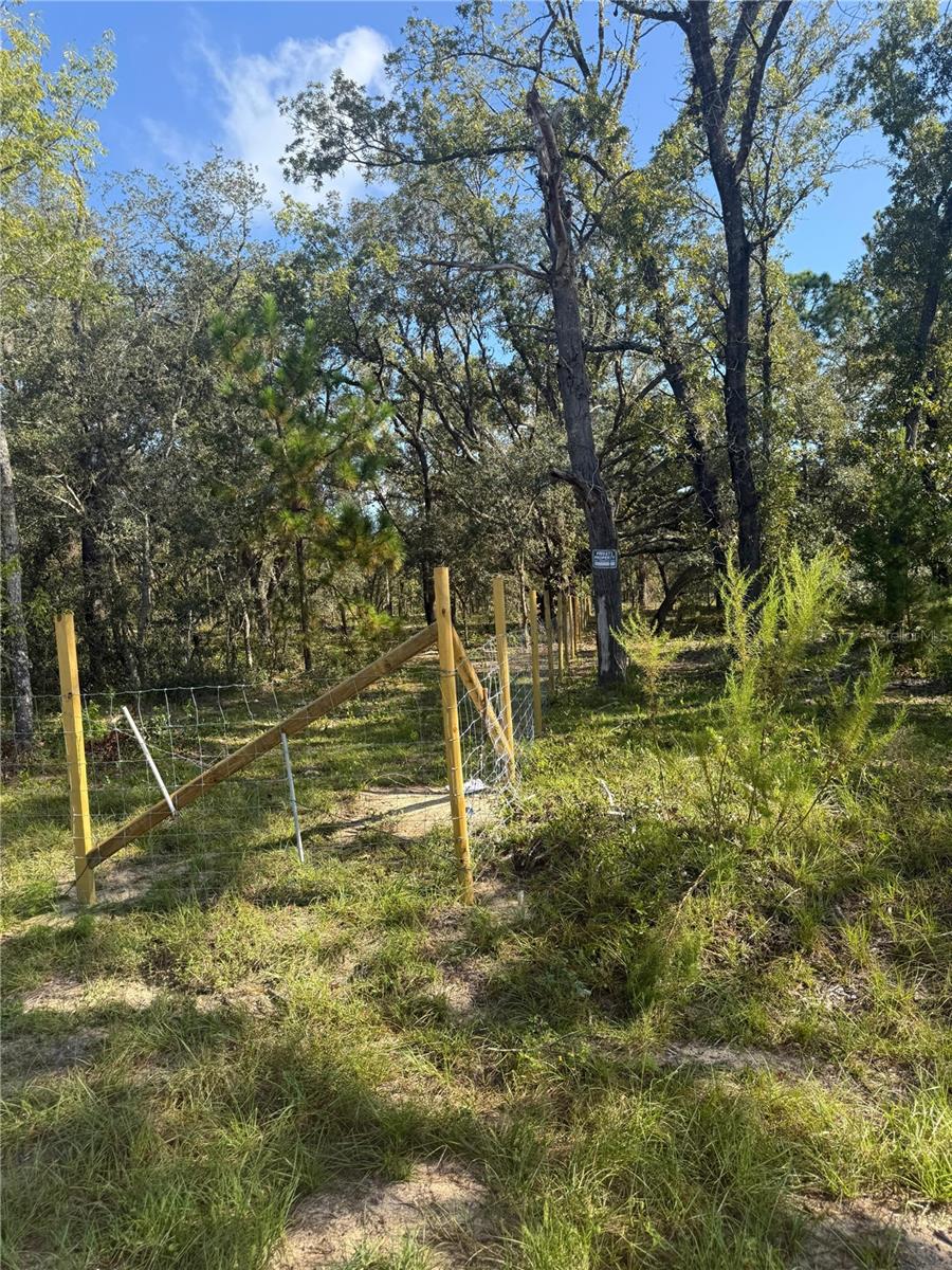 SE 112 PL, OCKLAWAHA, FL — photo 24