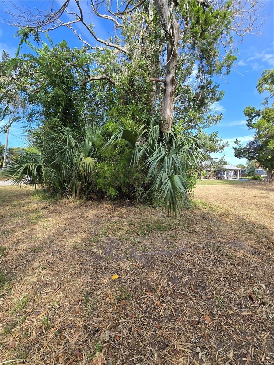71 SE 893 AVE, OLD TOWN, FL — photo 7