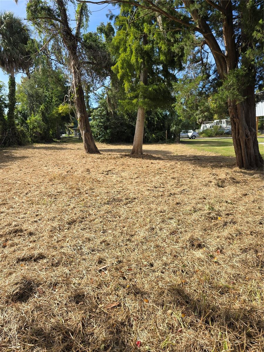 71 SE 893 AVE, OLD TOWN, FL — photo 8