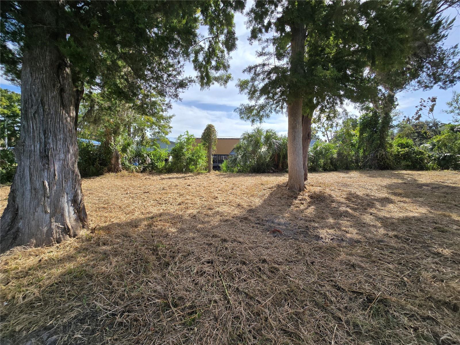 71 SE 893 AVE, OLD TOWN, FL — photo 4