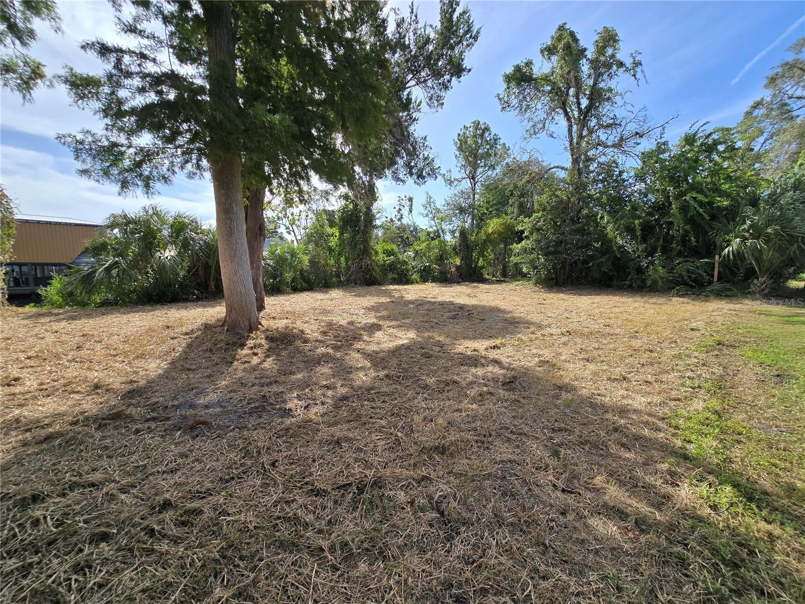 71 SE 893 AVE, OLD TOWN, FL — photo 11