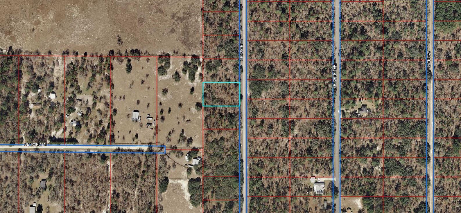 LOT 10 SE 125TH CT, DUNNELLON, FL — photo 3