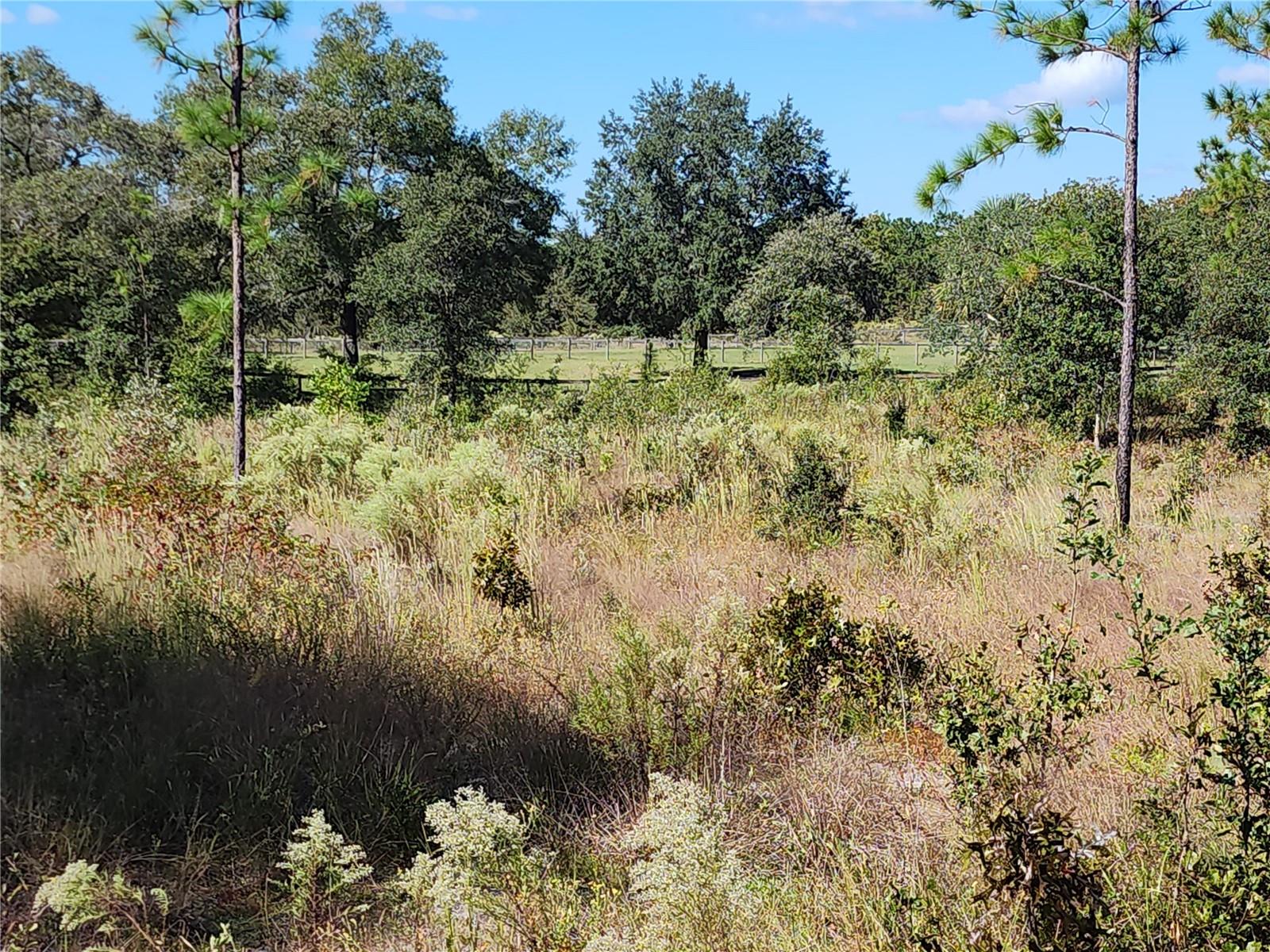 LOT 10 SE 125TH CT, DUNNELLON, FL — photo 5