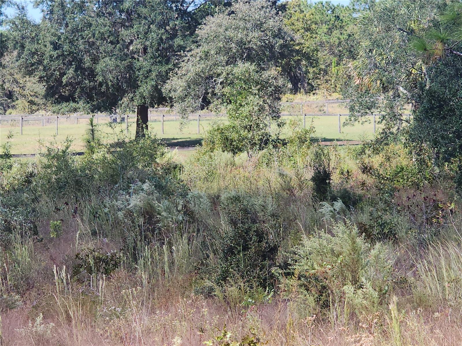 LOT 10 SE 125TH CT, DUNNELLON, FL — photo 6