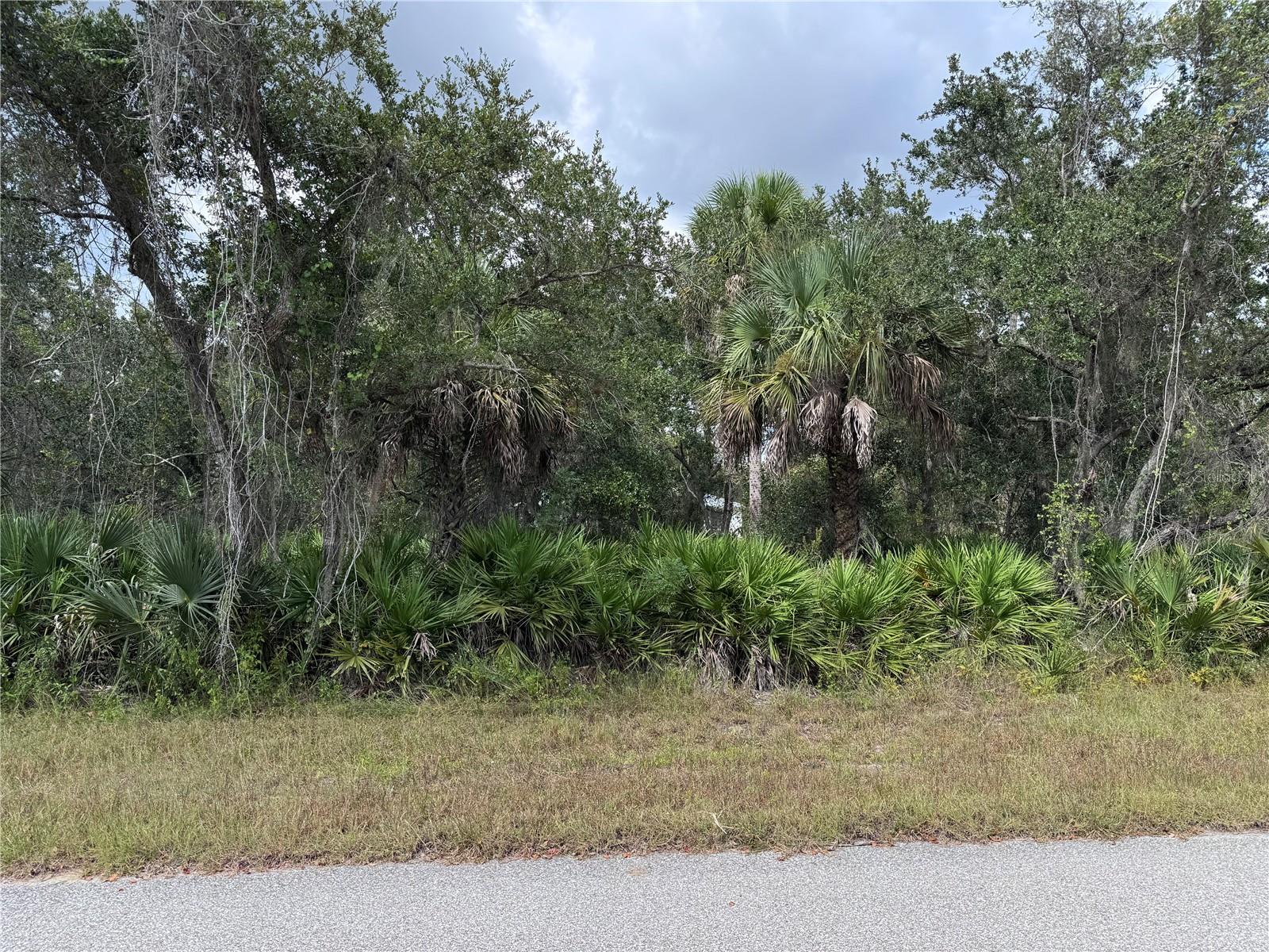 17110 GEOFFREY AVE, PORT CHARLOTTE, FL — photo 2