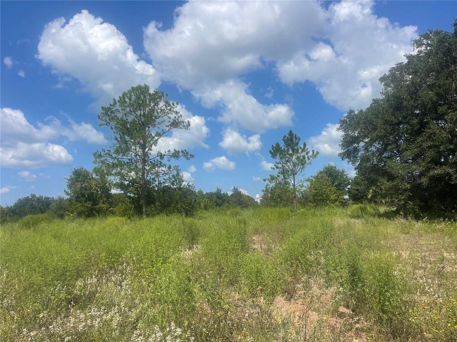 TBD KEENE RD, UMATILLA, FL — photo 3