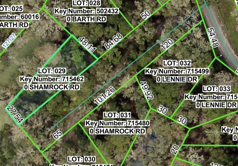 SHAMROCK RD, DADE CITY, FL